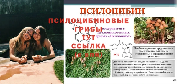 каннабис Вязьма