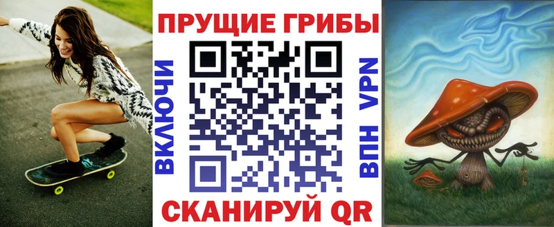 Купить  Егорьевск  Псилоцибиновые грибы MAGIC MUSHROOMS 